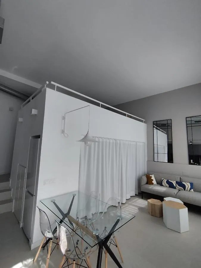Luxury Loft Malaga Carreteria Apartment Spain